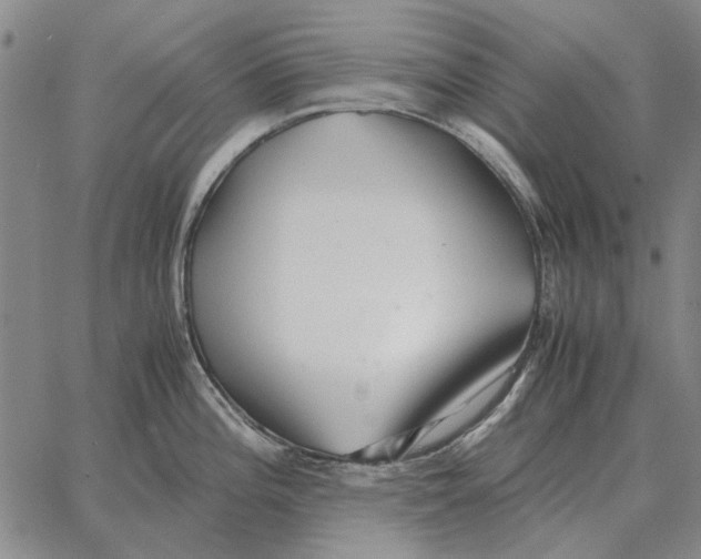 X0000062651196200601181802