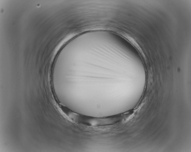 X0000062651197200601181802