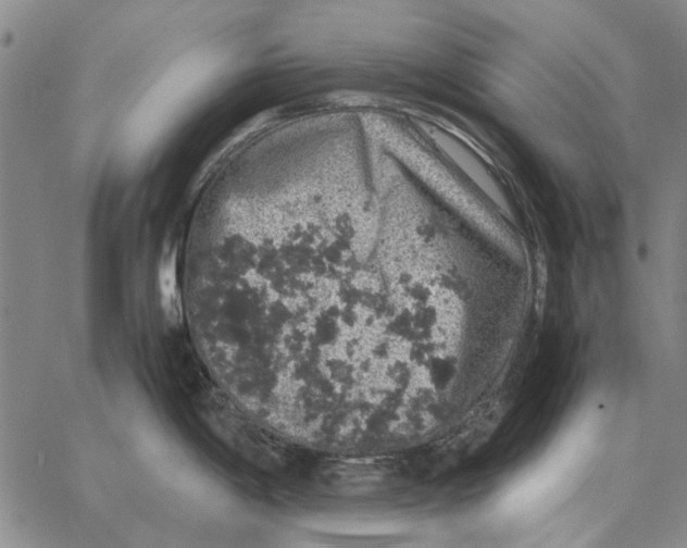 X0000062651198200601181802