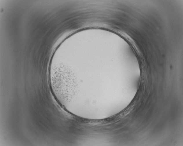 X0000062651199200601181802