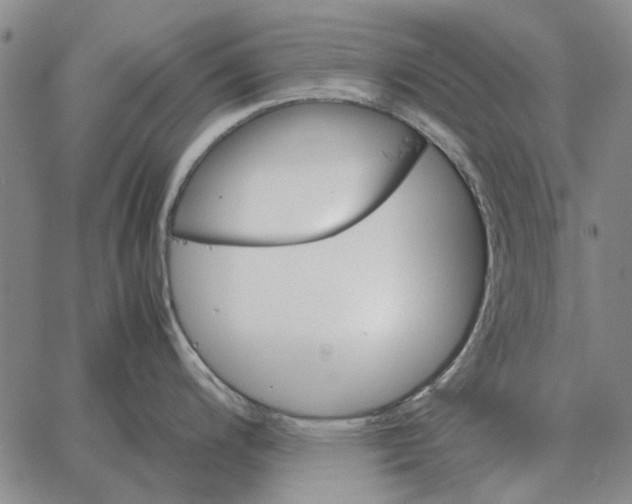 X0000062651200200601181802