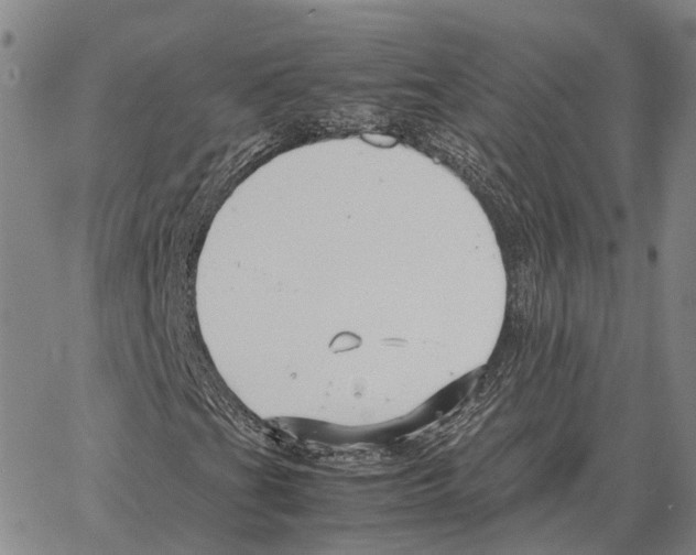 X0000062651201200601181801