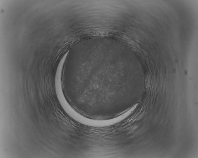 X0000062651202200601181801