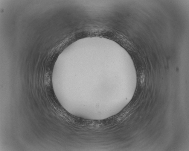 X0000062651204200601181801