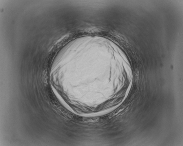 X0000062651205200601181801