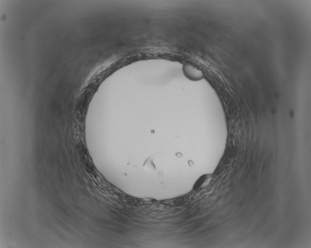 X0000062651207200601181801