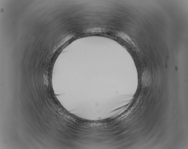 X0000062651209200601181801