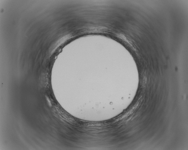 X0000062651211200601181801