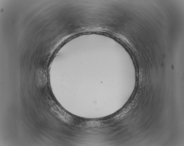 X0000062651212200601181801