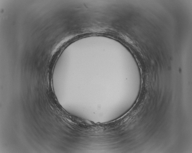 X0000062651214200601181801