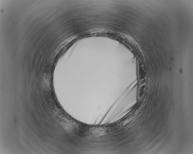 X0000062651217200601181801