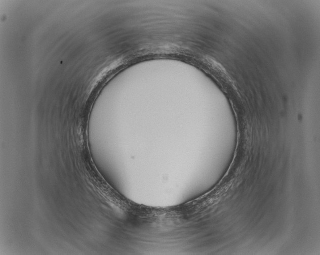 X0000062651218200601181801