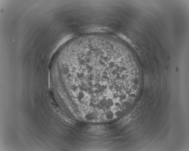 X0000062651219200601181801