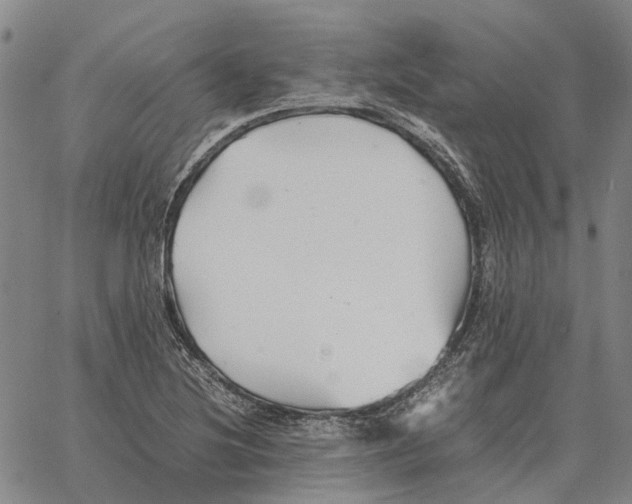 X0000062651220200601181801