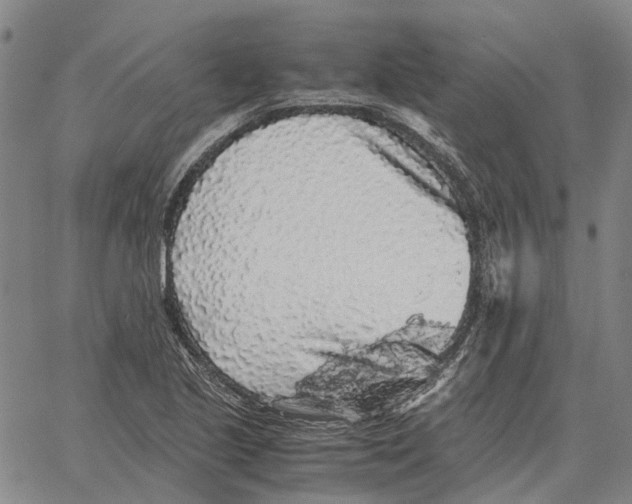 X0000062651221200601181801