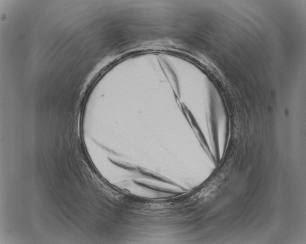 X0000062651224200601181801