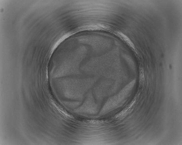 X0000062651226200601181801