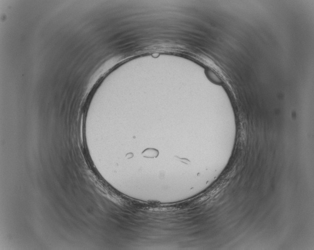 X0000062651227200601181801