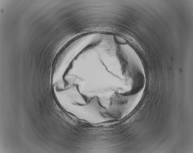 X0000062651228200601181801