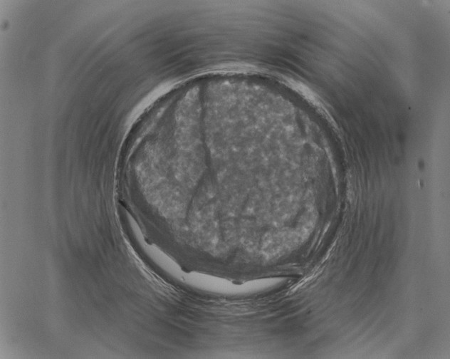 X0000062651229200601181801