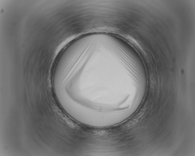 X0000062651230200601181801