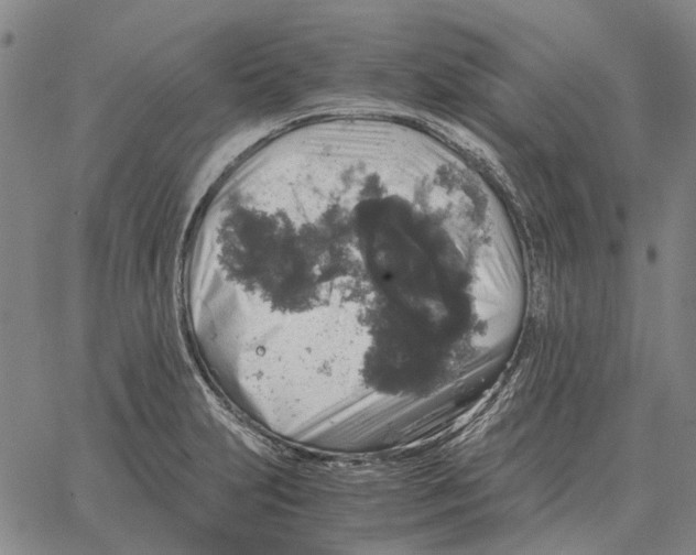 X0000062651231200601181802