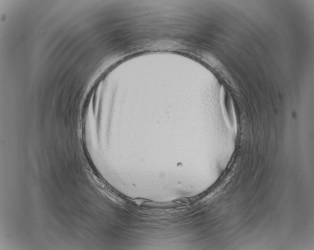 X0000062651232200601181802