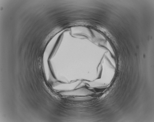 X0000062651233200601181802