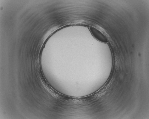 X0000062651234200601181802