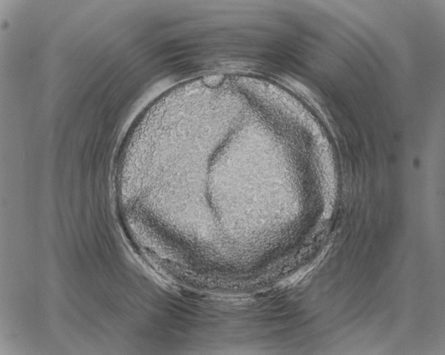 X0000062651235200601181802