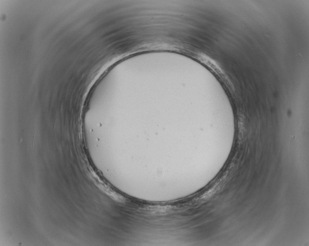 X0000062651236200601181802