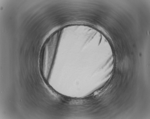 X0000062651237200601181802