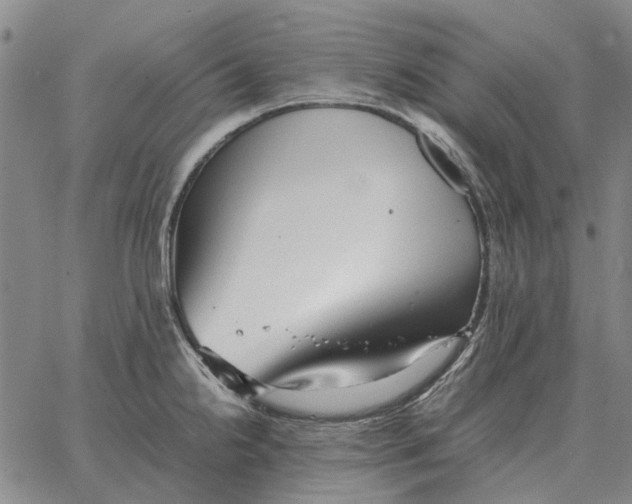 X0000062651238200601181802