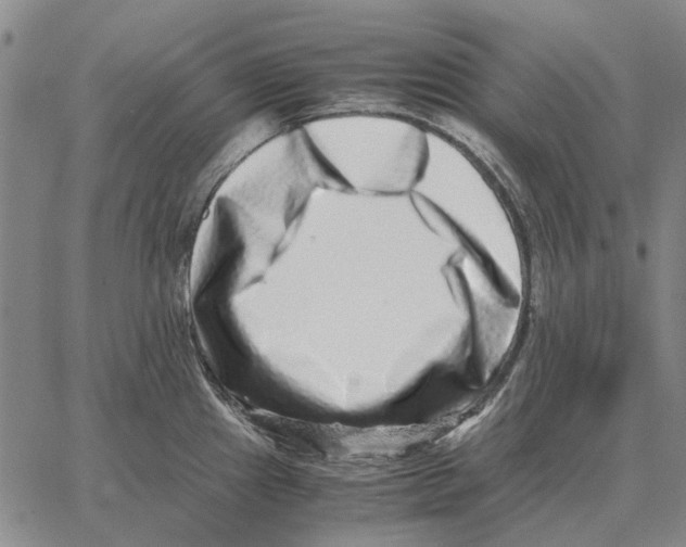 X0000062651241200601181802