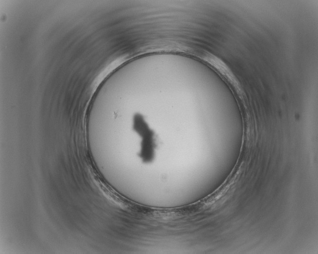 X0000062651242200601181802