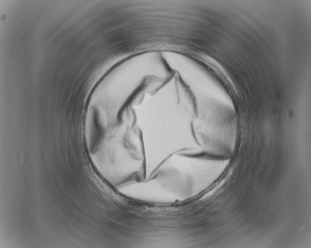 X0000062651244200601181802