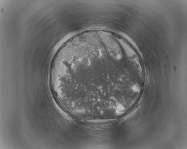 X0000062651245200601181802