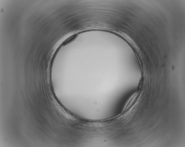 X0000062651246200601181802