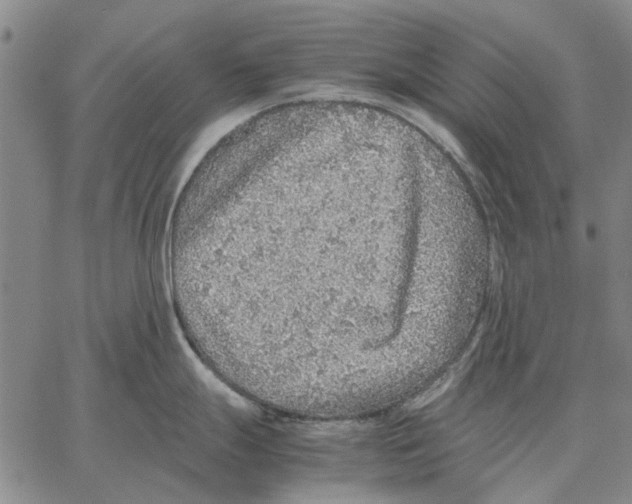 X0000062651247200601181802