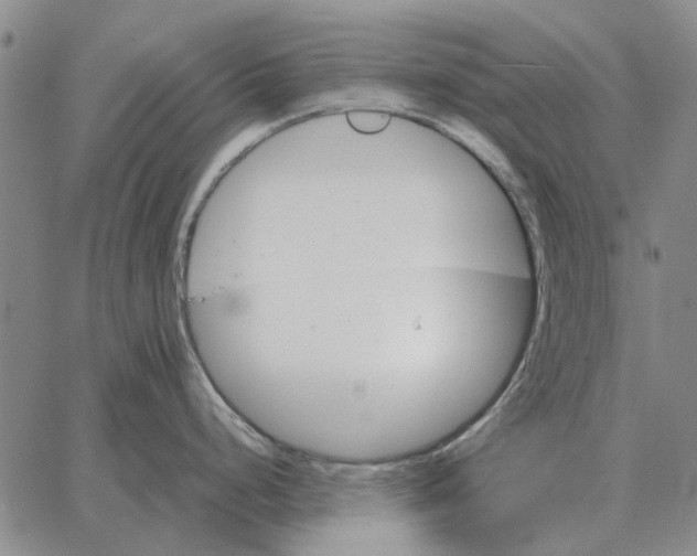 X0000062651248200601181802