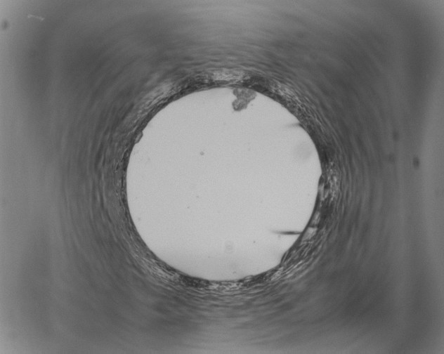 X0000062651249200601181801