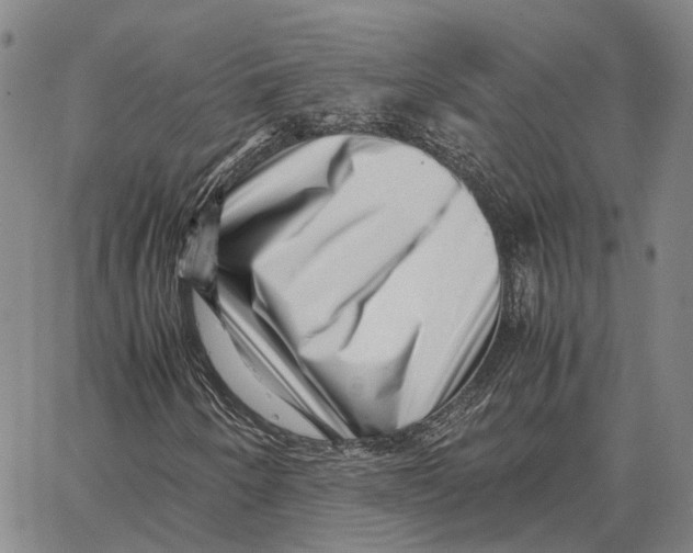 X0000062651250200601181801