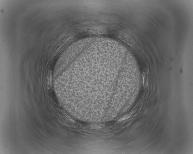 X0000062651251200601181801