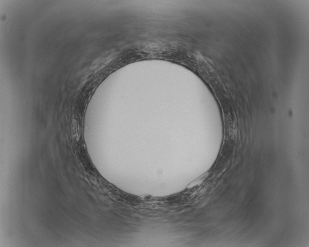 X0000062651253200601181801