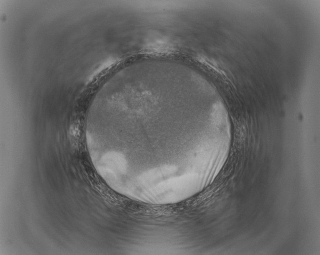 X0000062651254200601181801