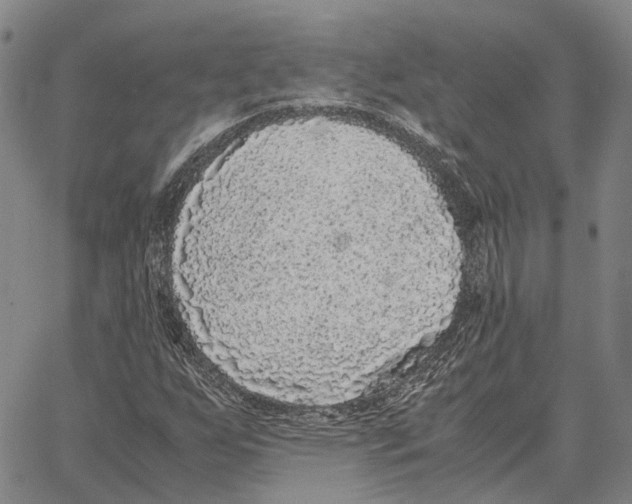 X0000062651255200601181801