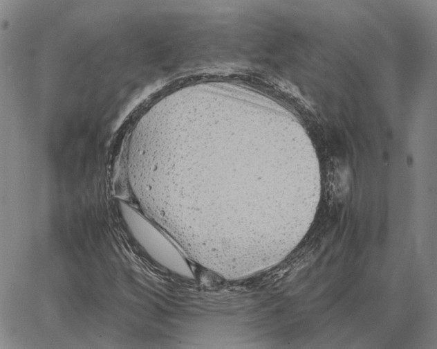 X0000062651256200601181801