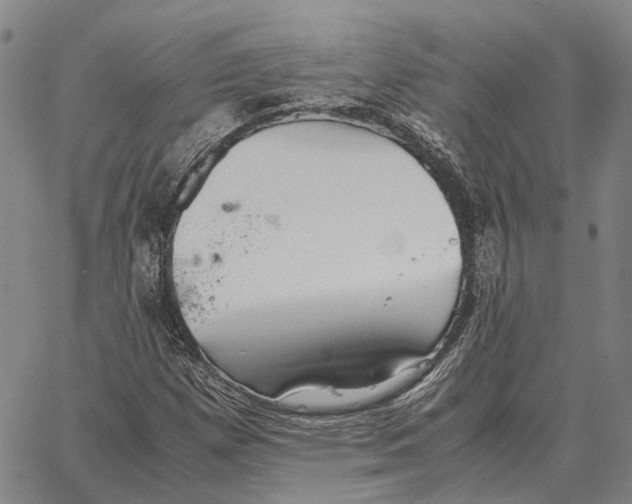 X0000062651257200601181801