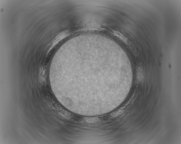 X0000062651258200601181801