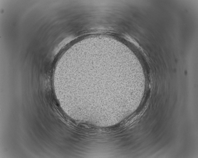 X0000062651259200601181801